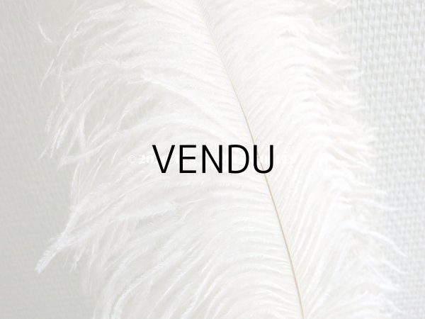 画像9: アンティーク 大きなフェザー ライラック & パウダーピンク 羽飾り オリジナルのラベル付き (9)