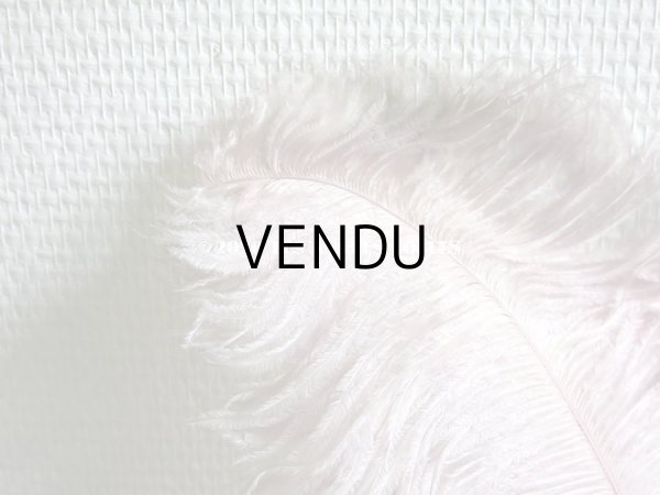 画像4: アンティーク 大きなフェザー ライラック & パウダーピンク 羽飾り オリジナルのラベル付き (4)