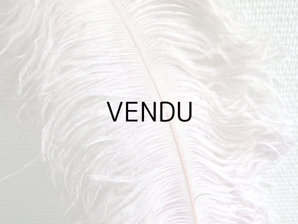 画像5: アンティーク 大きなフェザー ライラック & パウダーピンク 羽飾り オリジナルのラベル付き (5)