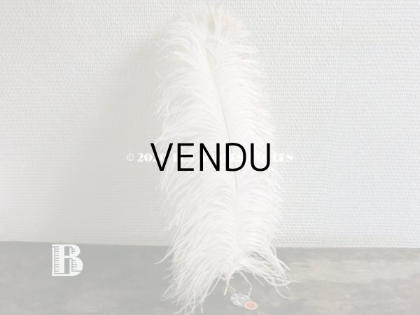 画像7: アンティーク 大きなフェザー ライラック & パウダーピンク 羽飾り オリジナルのラベル付き (7)