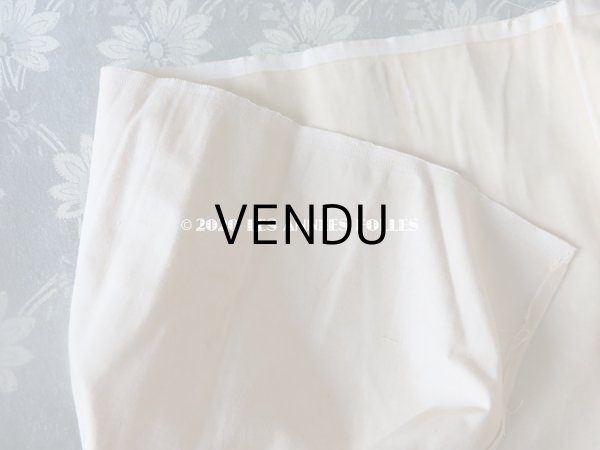 画像9: 1900年代 アンティーク ファブリック シルク製 ベルベット  (9)