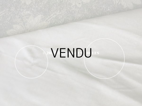 画像13: 1900年代 アンティーク ファブリック シルク製 ベルベット  (13)