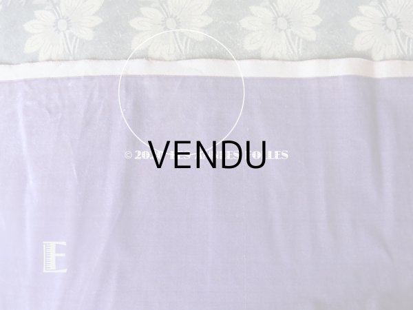 画像14: 1900年代 アンティーク ファブリック シルク製 ベルベット  (14)