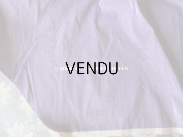 画像15: 1900年代 アンティーク ファブリック シルク製 ベルベット  (15)