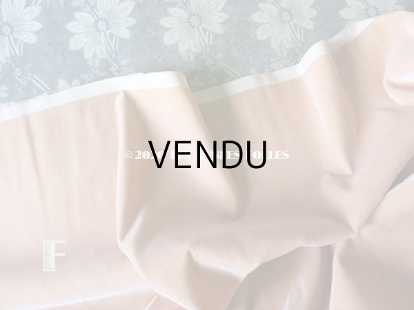 画像19: 1900年代 アンティーク ファブリック シルク製 ベルベット  (19)