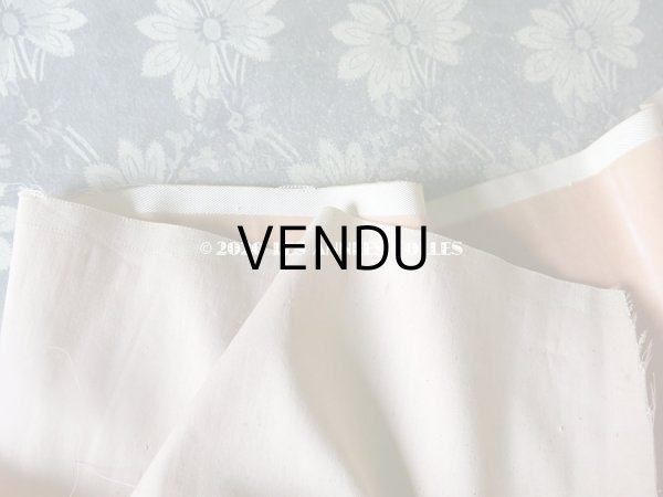 画像20: 1900年代 アンティーク ファブリック シルク製 ベルベット  (20)