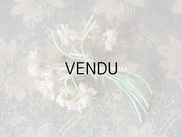 画像7: 1900年代 アンティーク デイジーの布花 小さなブーケ コサージュ  (7)