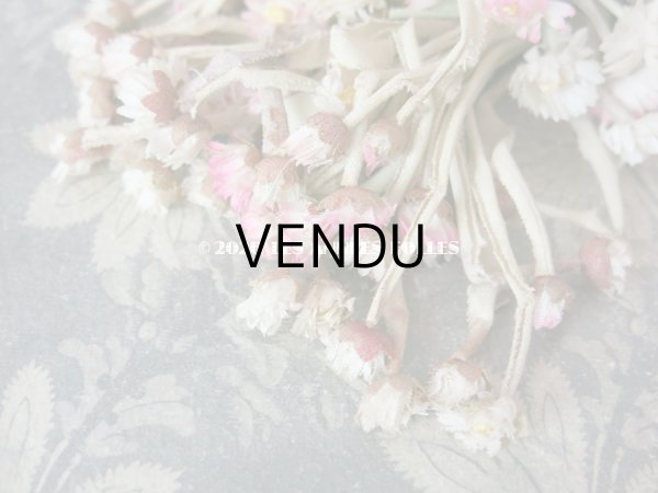 画像4: 1900年代 アンティーク デイジーのコサージュ  (4)