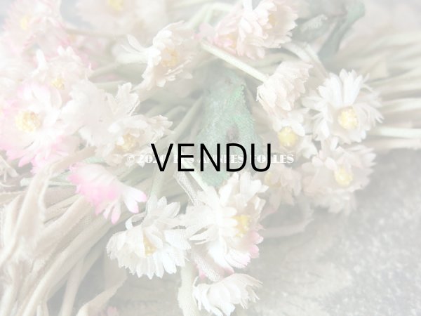 画像5: 1900年代 アンティーク デイジーのコサージュ  (5)