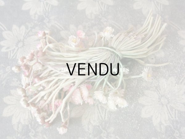 画像6: 1900年代 アンティーク デイジーのコサージュ  (6)