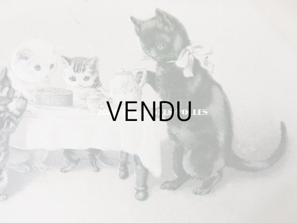 画像3: 1902年 アンティークポストカード 猫の親子のティータイム (3)