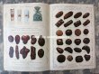 画像8: 1912年 アンティーク 【マルキーズ・ ドゥ・セヴィニエ】 のカタログ A LA MARQUISE DE SEVIGNE CHOCOLAT DE ROYAL (8)