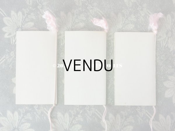 画像3: 1911年 アンティーク 舞踏会の手帳 ペンシル付 CARNET DE BAL カルネ・ド・バル (3)