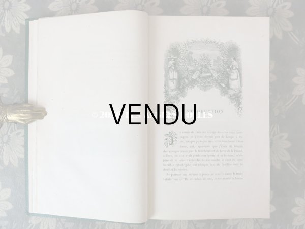 画像6: 1865年  【 デモワゼルのための植物学概論 】 L'HERBIER DES DEMOISELLES TRAITÉ COMPLET DE LA BOTANIQUE (6)