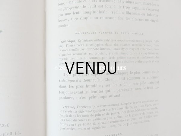 画像20: 1865年  【 デモワゼルのための植物学概論 】 L'HERBIER DES DEMOISELLES TRAITÉ COMPLET DE LA BOTANIQUE (20)