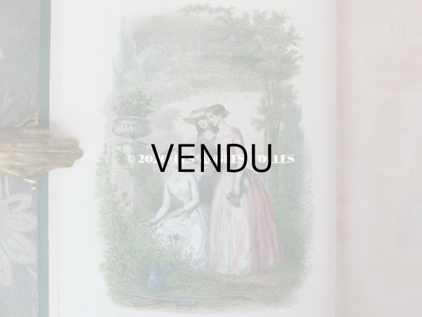 画像3: 1865年  【 デモワゼルのための植物学概論 】 L'HERBIER DES DEMOISELLES TRAITÉ COMPLET DE LA BOTANIQUE (3)