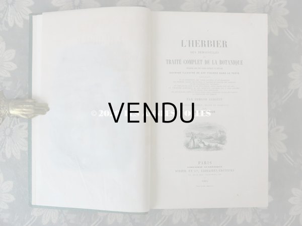 画像4: 1865年  【 デモワゼルのための植物学概論 】 L'HERBIER DES DEMOISELLES TRAITÉ COMPLET DE LA BOTANIQUE (4)
