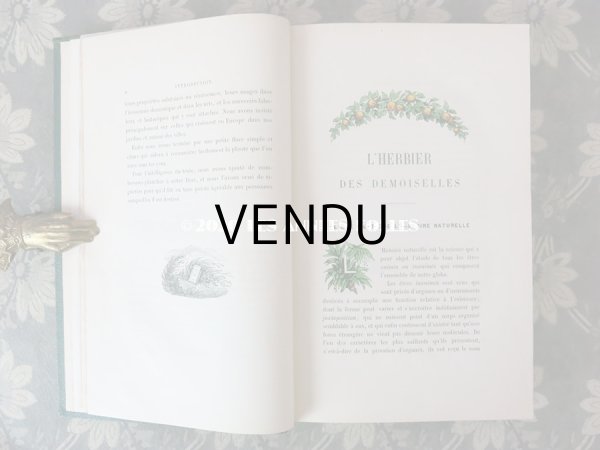 画像7: 1865年  【 デモワゼルのための植物学概論 】 L'HERBIER DES DEMOISELLES TRAITÉ COMPLET DE LA BOTANIQUE (7)