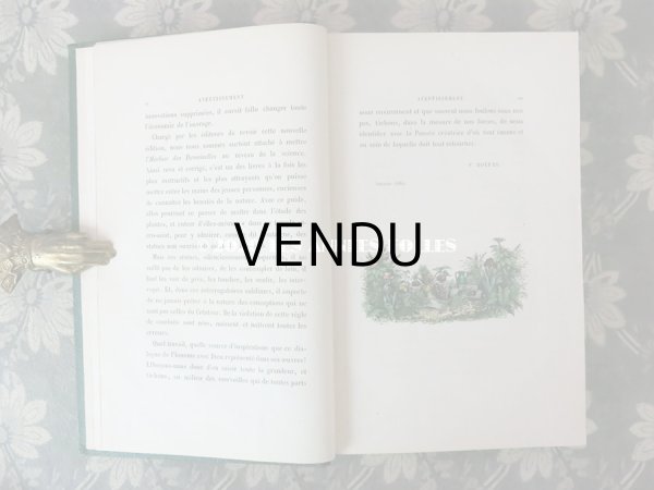 画像5: 1865年  【 デモワゼルのための植物学概論 】 L'HERBIER DES DEMOISELLES TRAITÉ COMPLET DE LA BOTANIQUE (5)