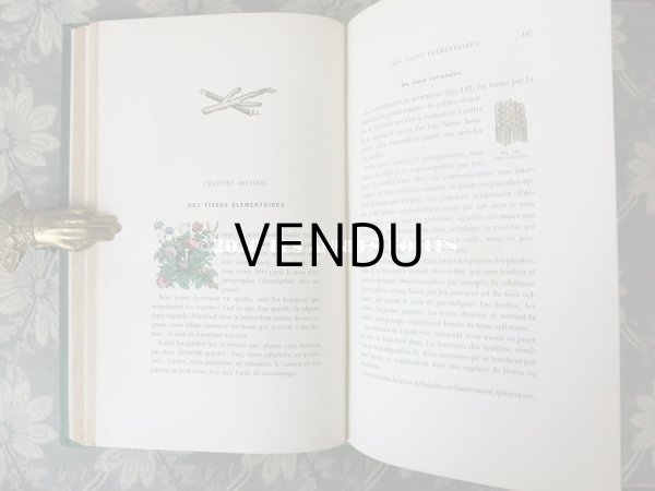 画像14: 1865年  【 デモワゼルのための植物学概論 】 L'HERBIER DES DEMOISELLES TRAITÉ COMPLET DE LA BOTANIQUE (14)