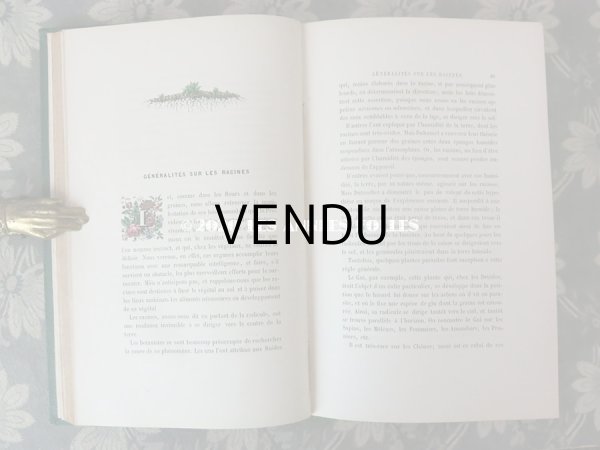 画像13: 1865年  【 デモワゼルのための植物学概論 】 L'HERBIER DES DEMOISELLES TRAITÉ COMPLET DE LA BOTANIQUE (13)