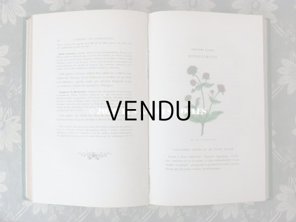 画像16: 1865年  【 デモワゼルのための植物学概論 】 L'HERBIER DES DEMOISELLES TRAITÉ COMPLET DE LA BOTANIQUE (16)