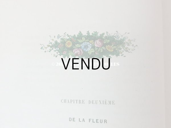 画像9: 1865年  【 デモワゼルのための植物学概論 】 L'HERBIER DES DEMOISELLES TRAITÉ COMPLET DE LA BOTANIQUE (9)