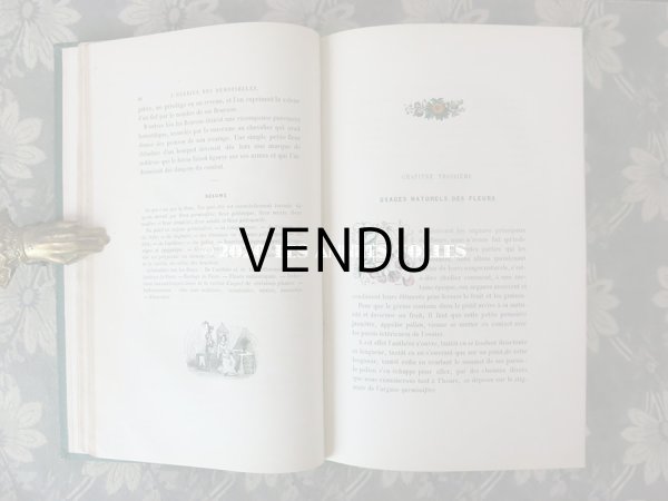 画像11: 1865年  【 デモワゼルのための植物学概論 】 L'HERBIER DES DEMOISELLES TRAITÉ COMPLET DE LA BOTANIQUE (11)