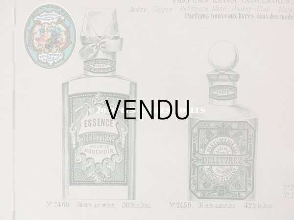 画像5: アンティーク　パフュームリーのデザイン画  PLANCHE 24 - DELETTREZ PARIS - (5)