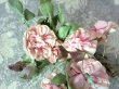 画像7: 19世紀末 アンティーク 薔薇の布花 (7)