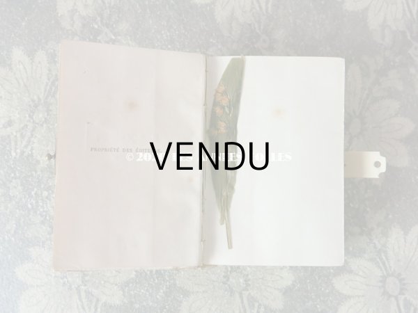 画像8: 【10周年セール対象外】 1890年 アンティーク 鈴蘭の押し花入り ミサ典書 鈴蘭や薔薇のブーケ セルロイド製 (8)