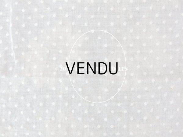 画像5: アンティーク  ドット柄の刺繍入り コットン生地  (5)