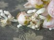 画像12: アンティーク 淡いピンクの薔薇＆ワックスフラワーの花冠 ティアラ  (12)