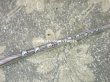 画像8: 1900年代 アンティーク シルバー製 鈴蘭のペン軸  (8)