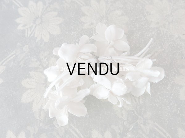 画像6: アンティーク オフホワイトの布花 (6)