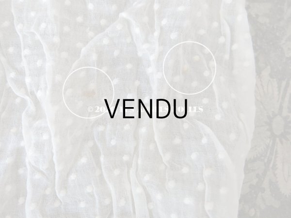 画像17: アンティーク  ドット柄の刺繍入り コットン生地  (17)