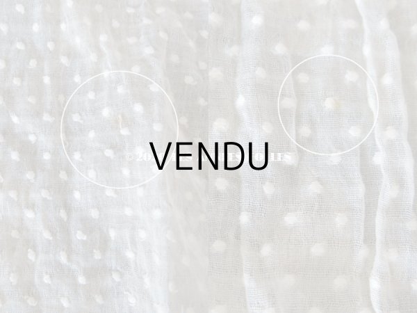 画像15: アンティーク  ドット柄の刺繍入り コットン生地  (15)