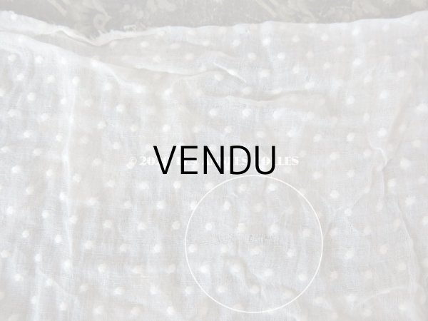 画像18: アンティーク  ドット柄の刺繍入り コットン生地  (18)