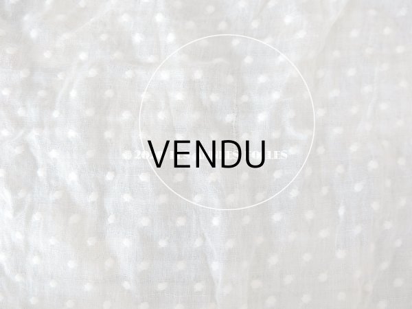 画像20: アンティーク  ドット柄の刺繍入り コットン生地  (20)