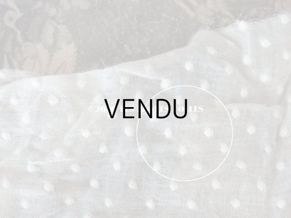 画像11: アンティーク  ドット柄の刺繍入り コットン生地  (11)