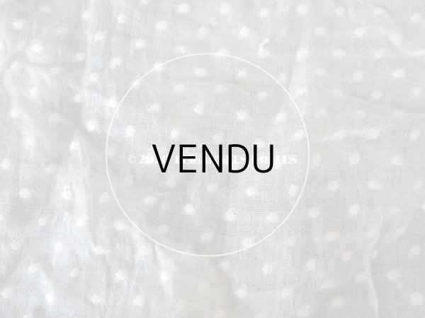 画像19: アンティーク  ドット柄の刺繍入り コットン生地  (19)