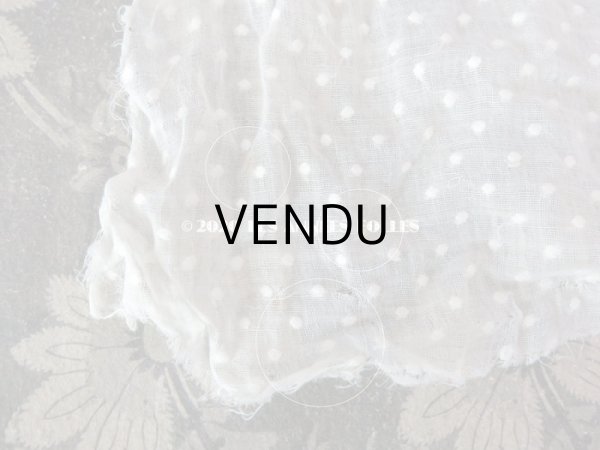 画像9: アンティーク  ドット柄の刺繍入り コットン生地  (9)