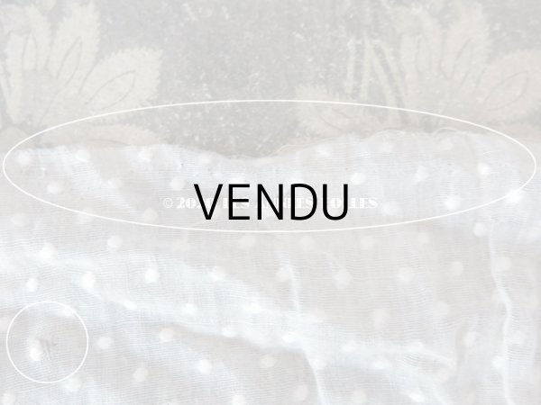 画像4: アンティーク  ドット柄の刺繍入り コットン生地  (4)