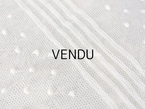 画像3: 1920年代 アンティーク ドット & ストライプ柄　チュールレース L字型 オフホワイト (3)