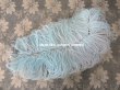 画像4: アンティーク 大きなフェザー 淡いブルー 羽飾り  (4)