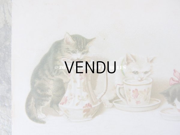 画像2: 1900年代 アンティークポストカード ミルクを飲む子猫達 (2)