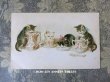 画像1: 1900年代 アンティークポストカード ミルクを飲む子猫達 (1)