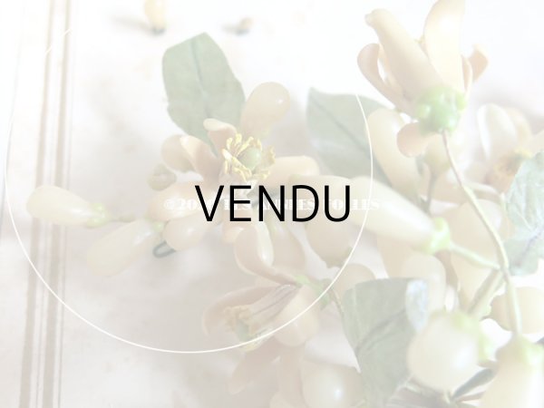 画像5: 未使用 アンティーク レースペーパー付ボックス入り&台紙付 ワックスフラワーのヘッドリース ウェディング 結婚式 ティアラ (5)