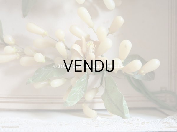 画像14: 未使用 アンティーク レースペーパー付ボックス入り&台紙付 ワックスフラワーのヘッドリース ウェディング 結婚式 ティアラ (14)