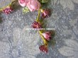画像4: 未使用 1920年代 アンティーク ロココモチーフ ピンクの薔薇 (4)